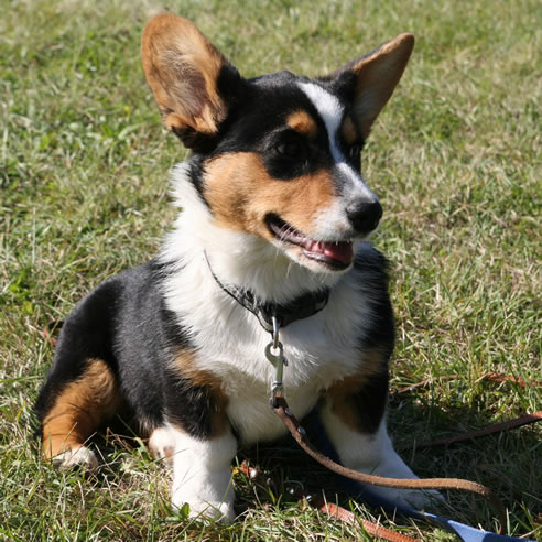 H&uuml;tearbeit von Black First Lady