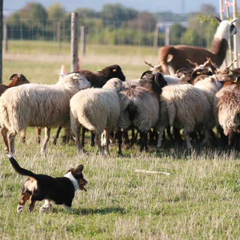 H&uuml;tearbeit von Black First Lady